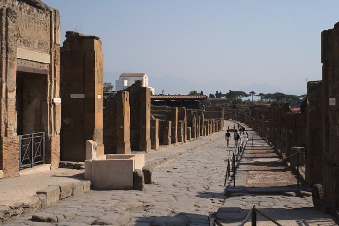Guided Tour of Pompeii Ruins With Lunch and Wine Tasting - Tour Highlights and Customer Feedback