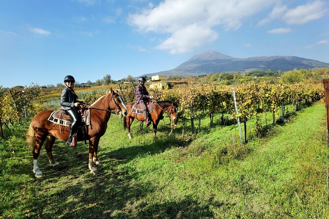 Horseback Riding on Vesuvius - Emphasis on Safety and Professionalism