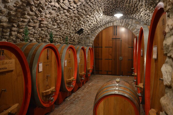Pagus Wine Tours - a Taste of Valpolicella - Half Day Wine Tour - Value for Money and Additional Information
