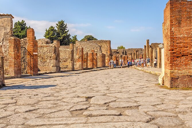 Pompeii Ticket With Optional Guided Tour - Accessibility Information and Assistance
