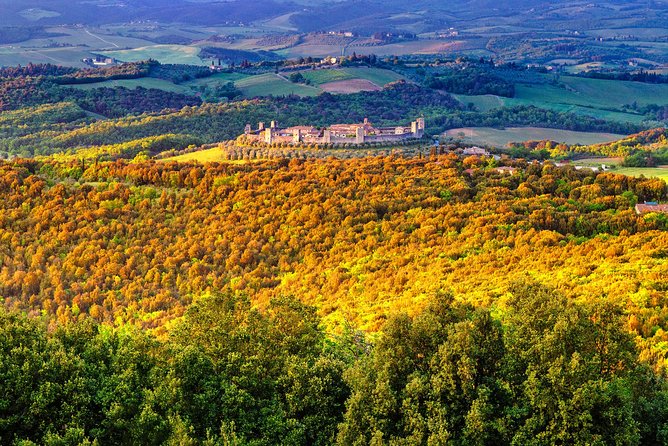 Private Tuscany Tour From Florence Including Siena, San Gimignano and Chianti Wine Region - Tour Details and Inclusions