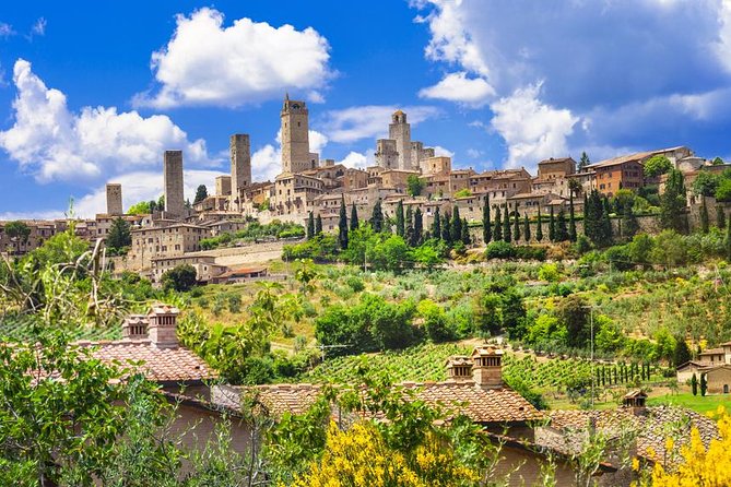 Private Tuscany Tour: Siena, Pisa and San Gimignano From Florence - Reviews and Customer Feedback