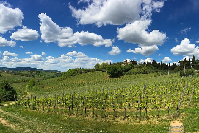 Siena: A Wine Tour and Tasting Experience - Viator Booking Information