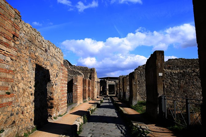 Small Group Guided Tour of Pompeii Led by an Archaeologist - Traveler Experience and Reviews
