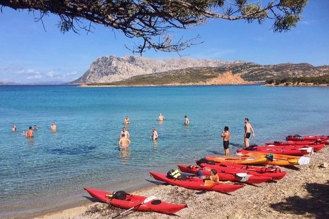 Small Group Kayak Tour With Snorkeling and Fruit - Booking Information and Pricing