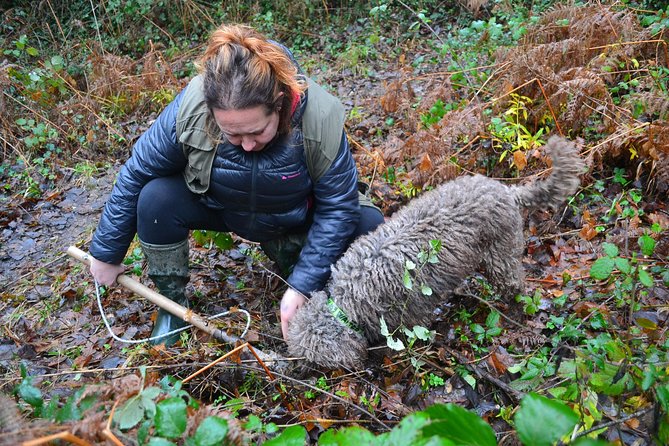 Truffle Hunting Experience With Lunch in San Miniato - Additional Information