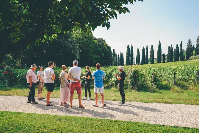 Valpolicella and Amarone Wine-Tasting Tour From Verona - Winery and Guide Experience