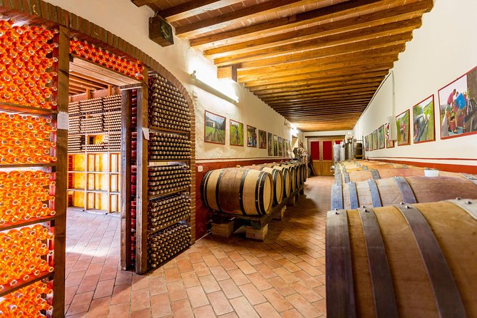 Winery Agriturismo Santo Stefano Castiglion Fiorentino (6 Types of Wine) - Food Pairing Recommendations