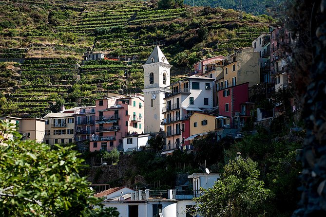 Cinque Terre Day Trip From Florence With Optional Hiking - Traveler Experiences and Reviews
