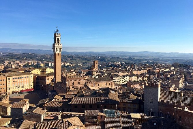 Discover the Medieval Charm of Siena on a Private Walking Tour - Guide Appreciation and Notable Guides