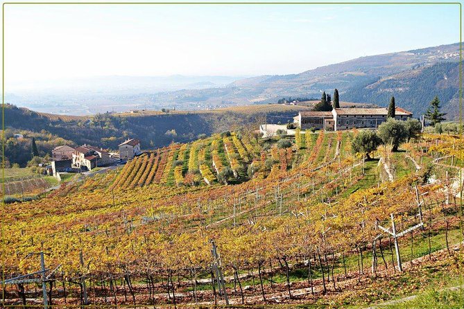 Discover Valpolicella Vineyards and Wine Tasting Experience - Directions