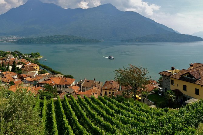 Domaso: Wine Tasting at the Winery on Como Lake - Customer Experiences