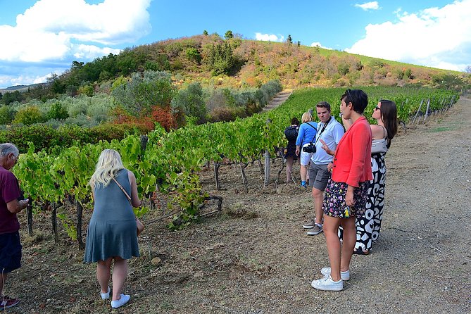 Florence to Chianti Region Wine Tour Including Lunch, Dinner - Assistance and Inquiries