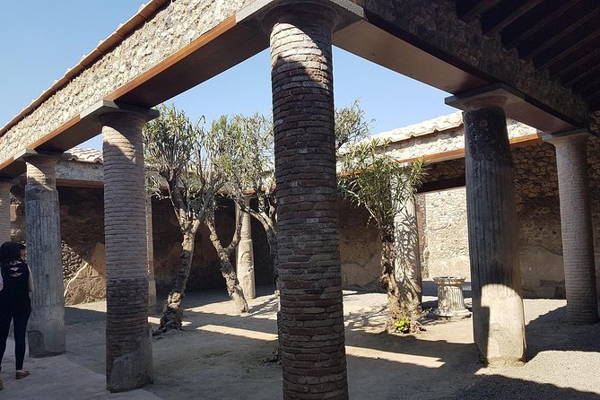 Pompeii and Naples From Rome: Small Group Day Tour With Lunch - Tour Details