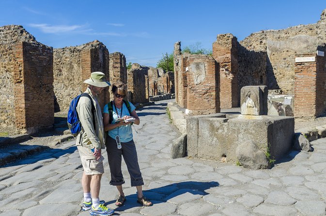 Pompeii Small Group Tour With an Archaeologist - Meeting Point Details