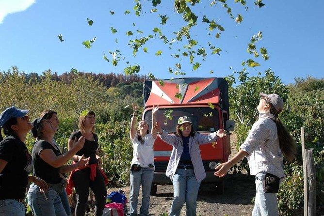 Private 6-Hour Tour of Three Etna Wineries With Food and Wine Tasting - Customer Reviews and Recommendations