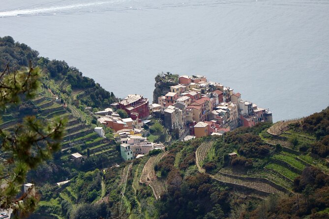 Private Cinque Terre Trekking Tours - Frequently Asked Questions