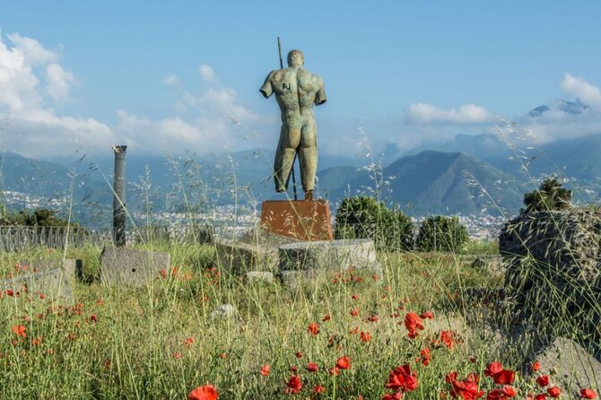 Rome to Pompeii Guided Tour With Wine & Lunch by High Speed Train - Booking Process and Information