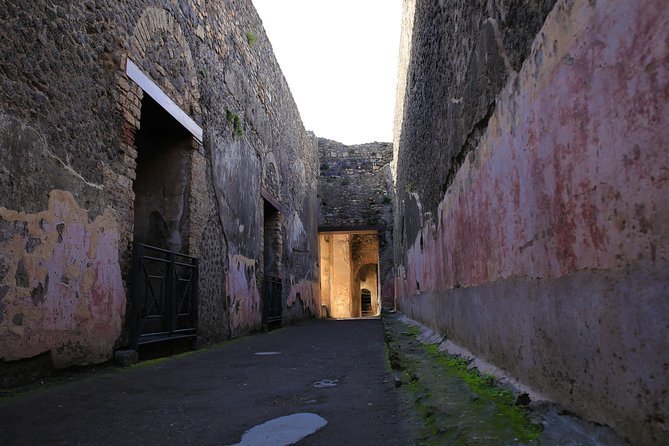 Small Group Guided Tour of Pompeii Led by an Archaeologist - Logistics and Organization Tips