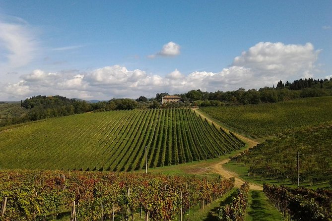 Small-Group Wine Tasting Experience in the Tuscan Countryside - Additional Information