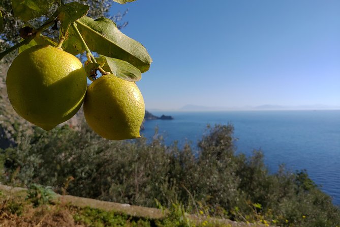 Amalfi Coast Home Cooking Class With Meal & Drinks Included - Transport and Logistics Information