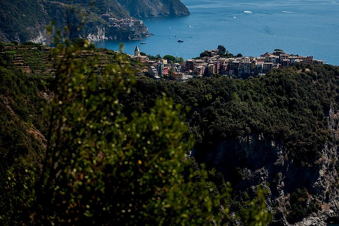 Cinque Terre Day Trip From Florence With Optional Hiking - Recommendations and Highlights