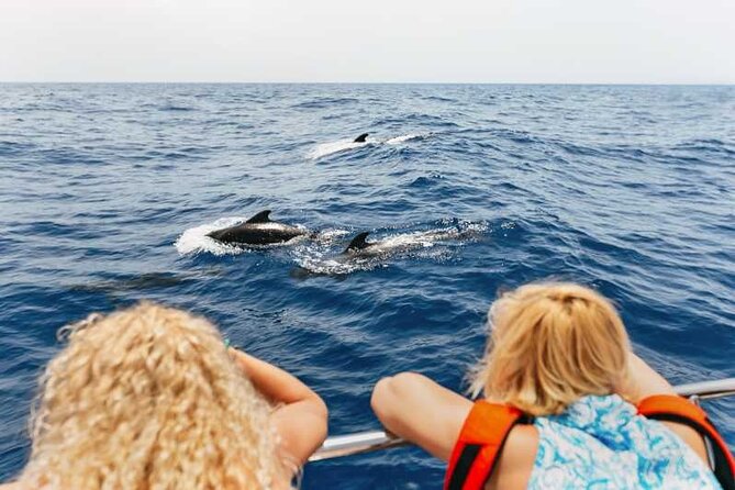 Dolphin Watching Tour With Snorkeling From Olbia - Directions and Logistics