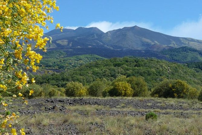 Mt. Etna Nature and Flavors Half Day Tour From Catania - Route and Itinerary