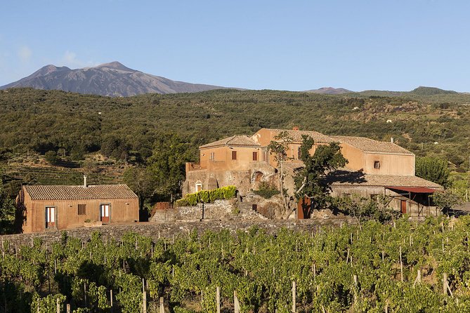 Private 6-Hour Tour of Three Etna Wineries With Food and Wine Tasting - Vineyard Experience and Specialties