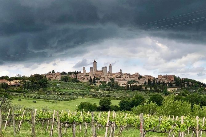 Private Tour in Siena, San Gimignano and Chianti Day Trip From Florence - Customer Reviews and Feedback