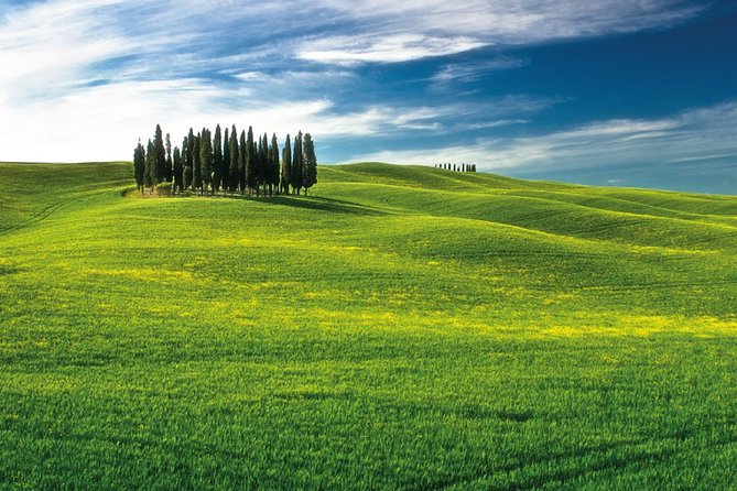 San Gimignano, Chianti, and Montalcino Day Trip From Siena - Vehicle Maintenance and Road Safety