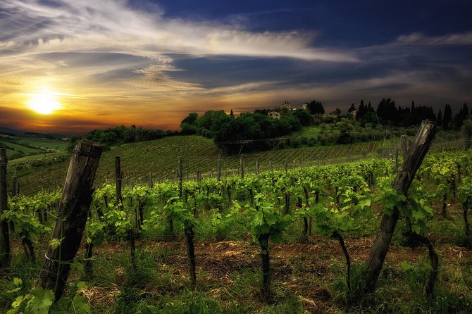 Siena: A Wine Tour and Tasting Experience - Tour Logistics
