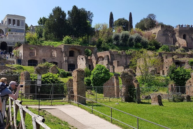 Skip The Line: Colosseum, Roman Forum, Palatine Hill Guided Tour - Final Words