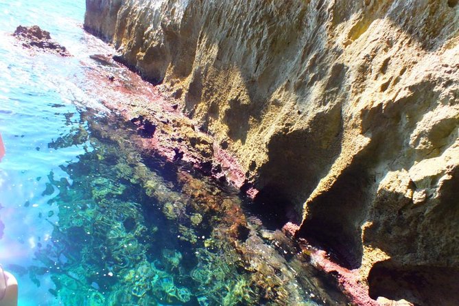 Small Group Boat Tour of Ortigia With Visits to the Caves and Swimming  - Sicily - Tour Pricing