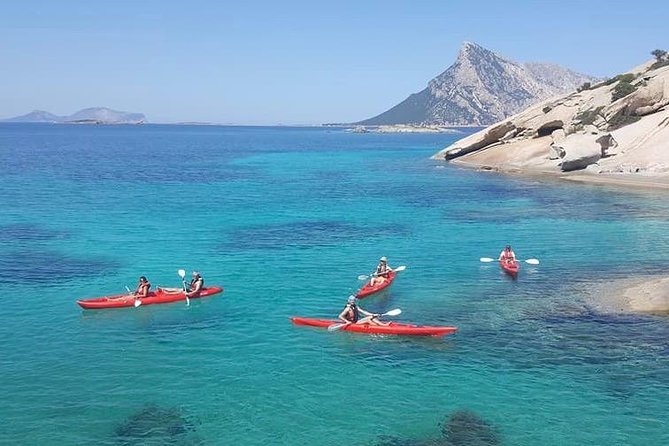 Small Group Kayak Tour With Snorkeling and Fruit - Additional Information and Copyright Notice