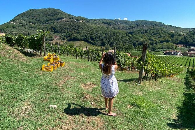 Tuscan Wine Tour in Lucca by Shuttle - Tour Details