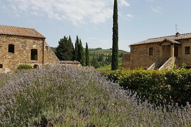Tuscany Guided Day Trip From Rome With Lunch & Wine Tasting - Frequently Asked Questions