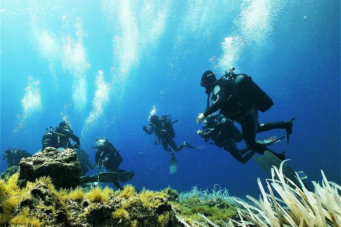 Diving With PADI 5 Star CDC Diving Resort Isola Bella Marine Park Taormina - Frequently Asked Questions