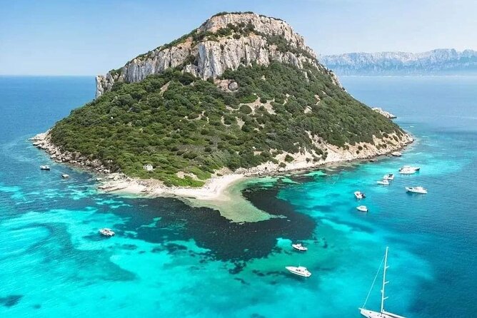 Dolphin Watching Tour With Snorkeling From Olbia - Frequently Asked Questions