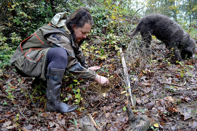 Full-Day Small-Group Truffle Hunting in Tuscany With Lunch - Frequently Asked Questions
