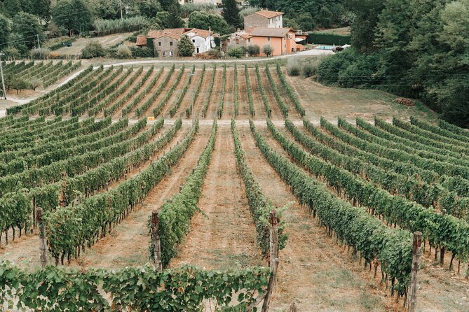 Lucca: Wine Tasting Experience - Tenuta Adamo Winery - Copyright and Terms of Service