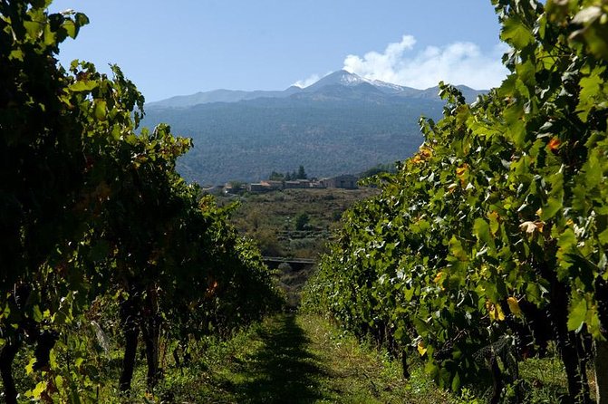 Mt Etna and Wine Tasting Tour From Catania - Final Words