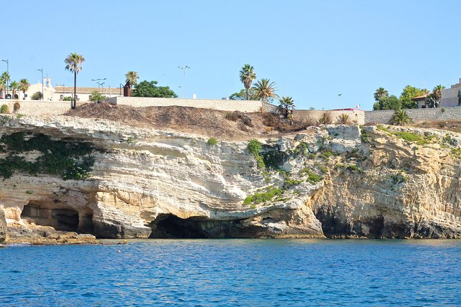 Small Group Boat Tour of Ortigia With Visits to the Caves and Swimming  - Sicily - Contact and Reservation