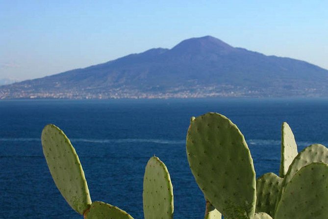 Sorrento Small-Group Sightseeing and Food Tour - Tour Experience