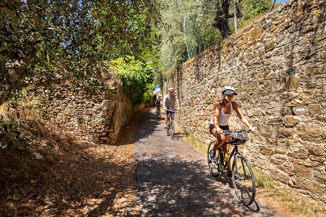 Tuscan Country Bike Tour With Wine and Olive Oil Tastings - Scenic Stops and Tastings