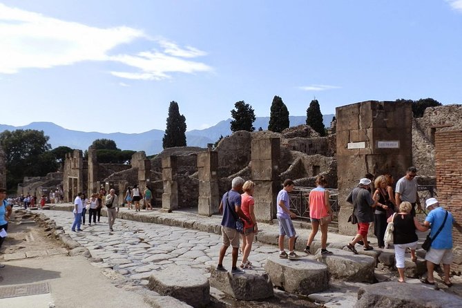 2 Hours Pompeii Tour With Local Historian - Ticket Included - Final Words