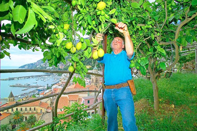 Day Trip From Rome: Amalfi Coast With Boat Hopping & Limoncello - Recommendations and Tips