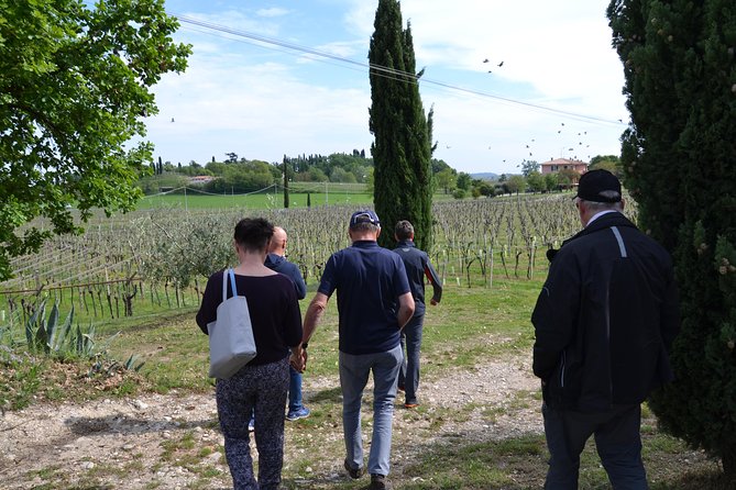 Winery Tour and Tasting of Garda Wines in Lazise - Final Words