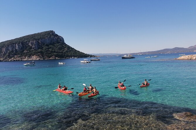 A Small-Group Kayaking Tour With Snorkeling and Aperitivo  - Sardinia - Just The Basics