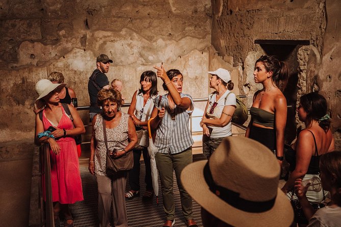 Archaeologist-Led Skip-the-Line Pompeii Tour - Just The Basics